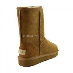 Men's Classic Short II Chestnut