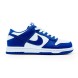 Унисекс кроссовки Nike Sb Dunk Low White Navy